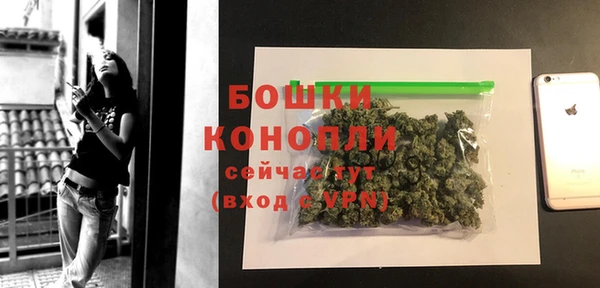 хмурый Нея