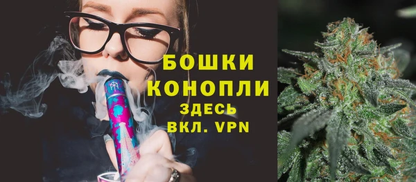 шишки Алзамай