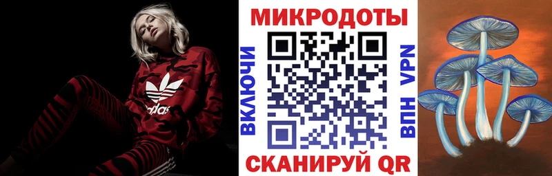 Псилоцибиновые грибы прущие грибы Тулун